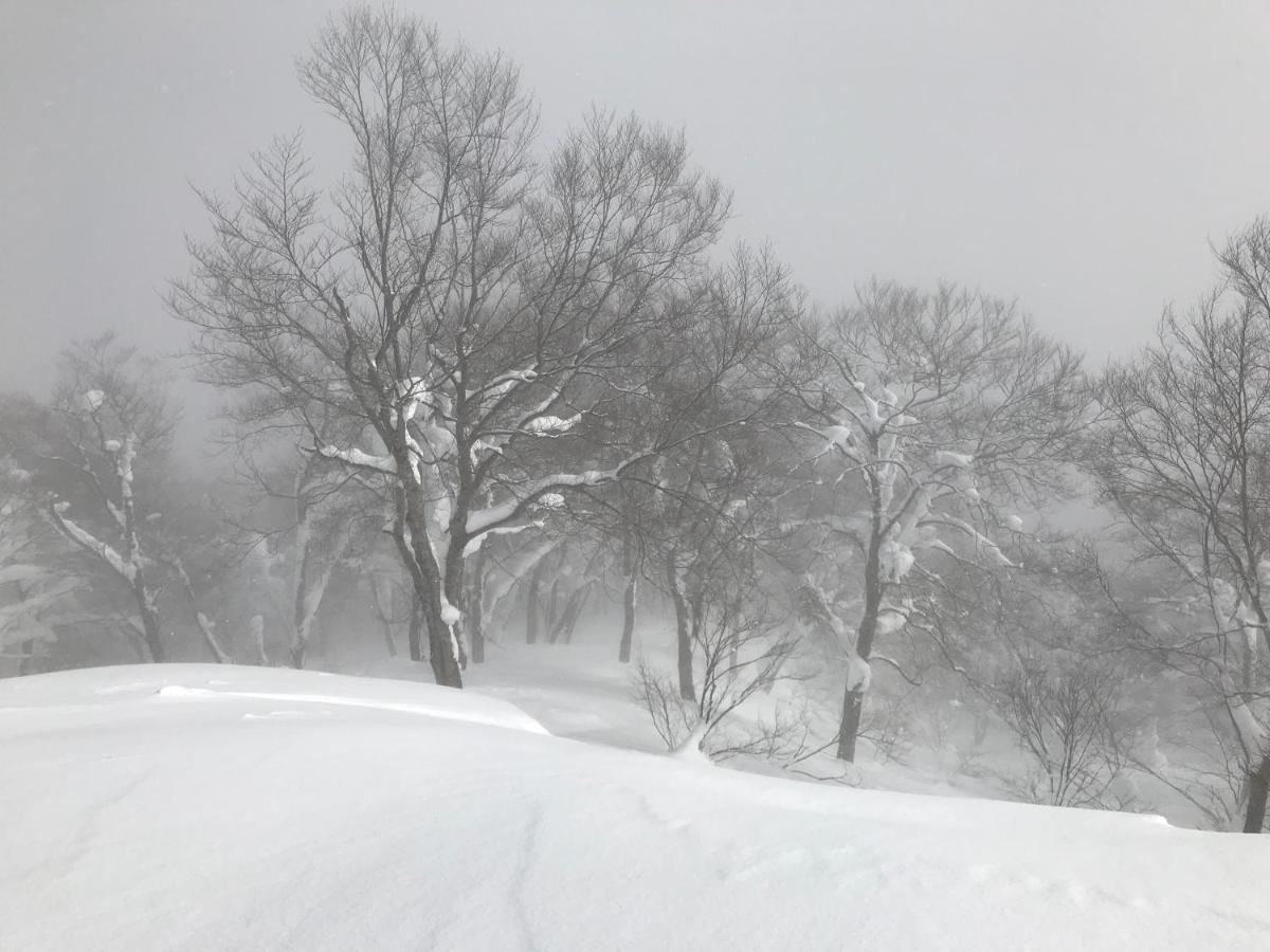 Hakuba Lodge Omusubi Otari Bagian luar foto